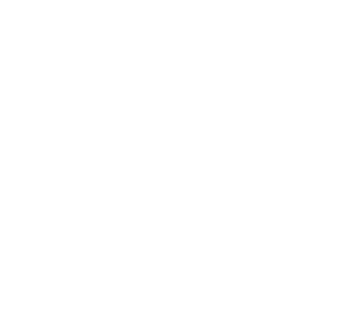 FZ icon