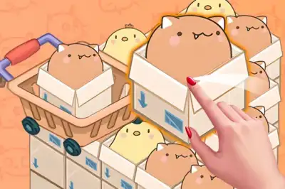 Mart Puzzle Box Cat